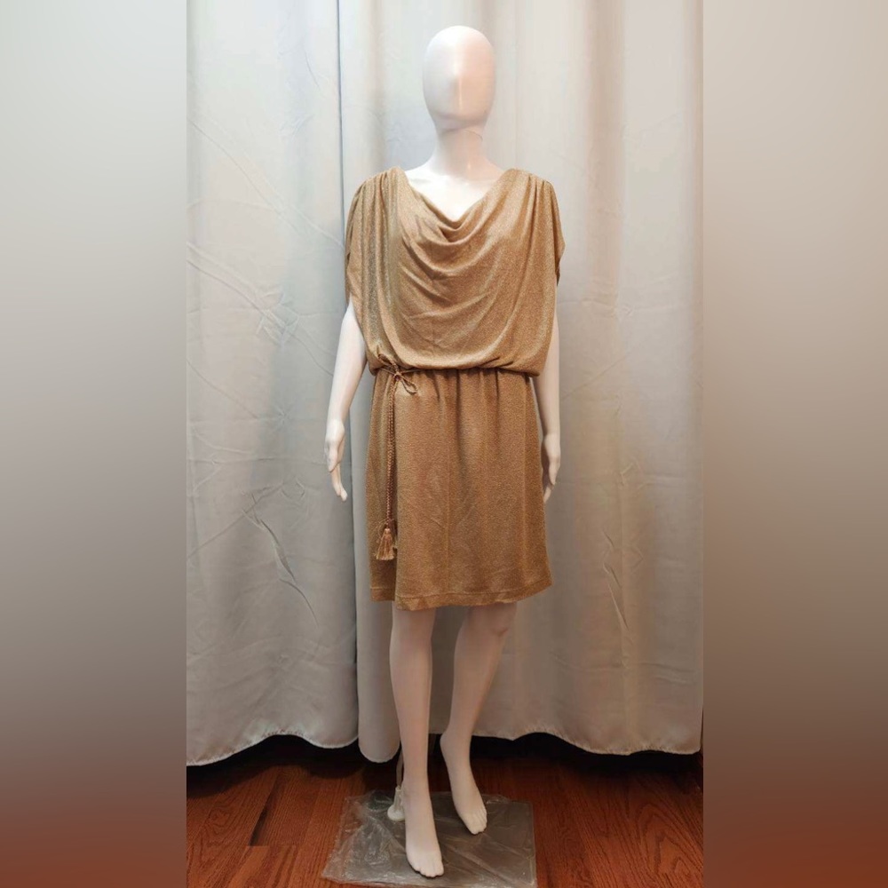 NWOT Nine & Co. Women’s Blouson Dress
